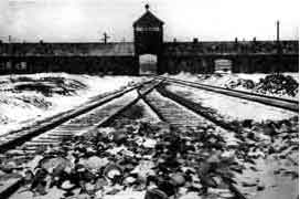 auschwitz auschwitz
