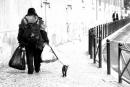 Sur la grand'route