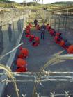 Alles o.k. in Guantánamo Bay