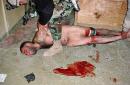 You Can't Kill Terror