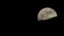 Luna tucumana