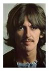 While My Guitar Gently Weeps