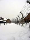 Auschwitz, <i>o</i> Canzone del bambino nel vento