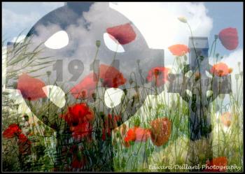 Flowers Flowers
