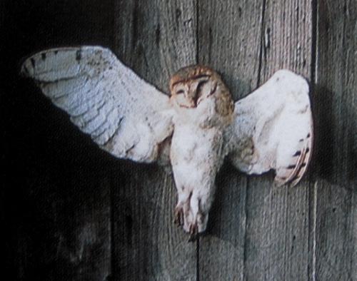 Les Chouettes Crucifiées