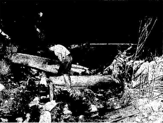Deportees