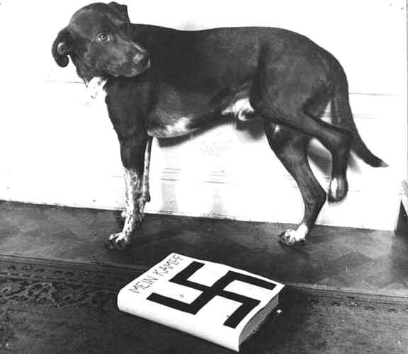 Last Page Of “Mein Kampf”