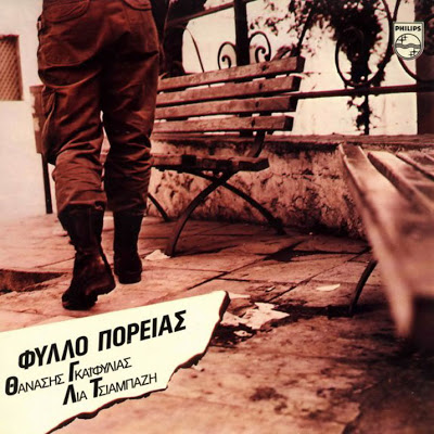 fylloporias fylloporias