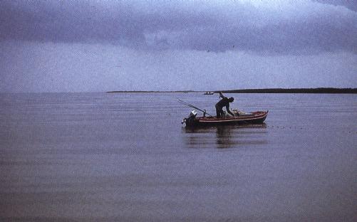Pescatore sul delta del Po.