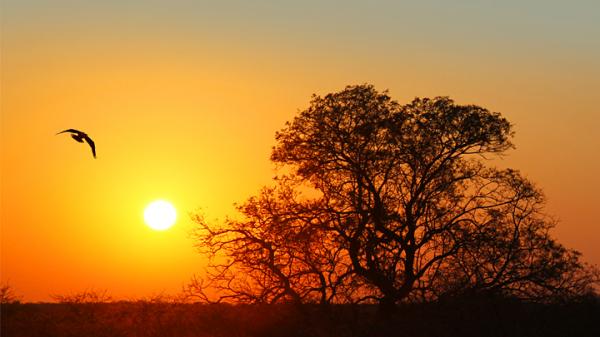 Tramonto d'Africa