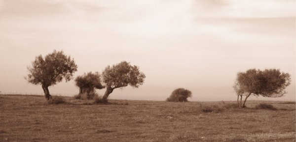 Preghiera in gennaio